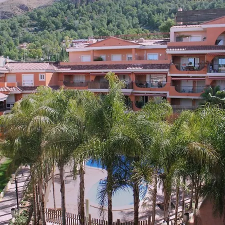 El Olivo De Sara Náquera